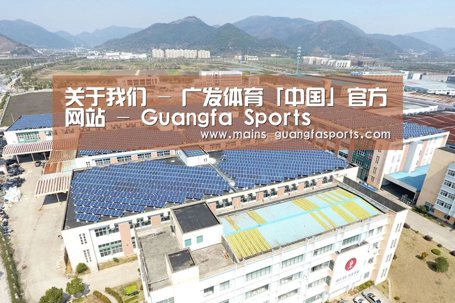 案例展示二