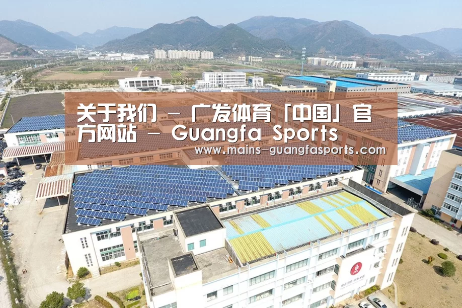 案例展示一