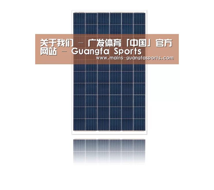 产品名称一