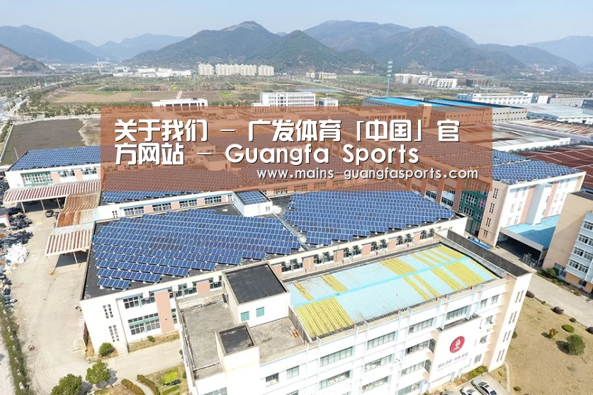 案例展示四