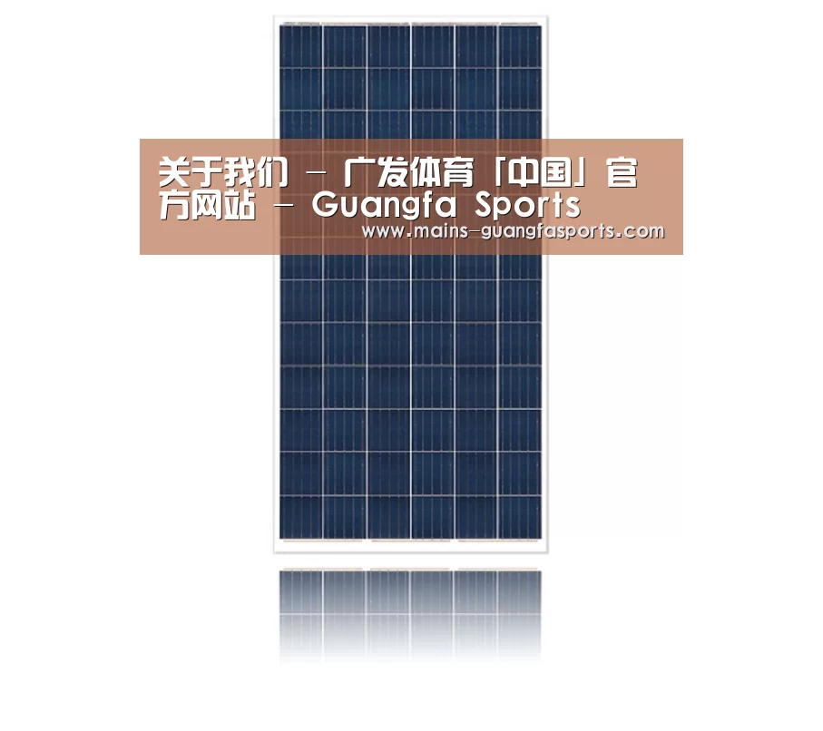 产品名称一