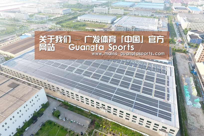 案例展示四